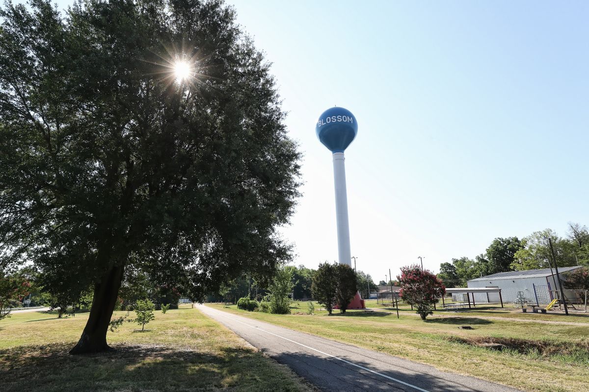 view of paved trail, tree, and water tower